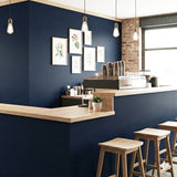 ROSEROSA Peel and Stick Matt Solid Architectural Film Self-adhesive Wallpaper Door Wrap Counter Top Border Mirror Molding Trim DS101