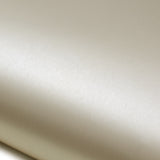 ROSEROSA Peel and Stick Brushed Faux Metal Architectural Film Self-Adhesive Vinyl Film Wallpaper Door Wrap Counter Top Border Mirror Molding Trim ED102