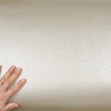 ROSEROSA Peel and Stick Brushed Faux Metal Architectural Film Self-Adhesive Vinyl Film Wallpaper Door Wrap Counter Top Border Mirror Molding Trim ED102