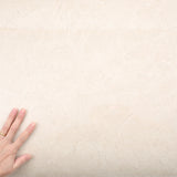 ROSEROSA Peel and Stick Glossy Faux Marble Architectural Film Self-Adhesive Vinyl Film Wallpaper Door Wrap Counter Top Border Mirror Molding Trim EG114