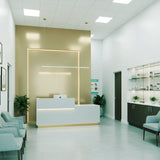 ROSEROSA Peel and Stick Faux Stainless Steel Contact Paper Self-Adhesive Wallpaper Door Wrap Counter Top Border Mirror Molding Trim HL238