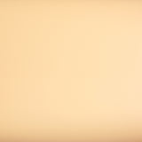 ROSEROSA Peel and Stick Matt Solid Contact Paper Self-Adhesive Wallpaper Door Wrap Countertop Moulding Trim KS489