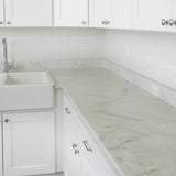 ROSEROSA Peel and Stick Glossy Faux Marble Architectural Film Self-adhesive Wallpaper Door Wrap Counter Top Border Mirror Molding Trim PGS4133