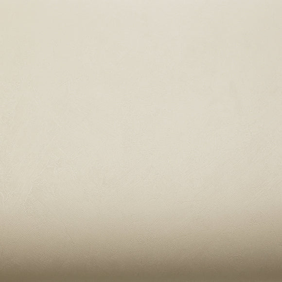 ROSEROSA Peel and Stick Solid Faux Concrete Contactpaper Self-Adhesive Wallpaper Door Wrap Countertop Moulding Trim PTG112