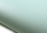 ROSEROSA Peel and Stick PVC Solid Self-adhesive Covering Countertop Aqua Marine SG59