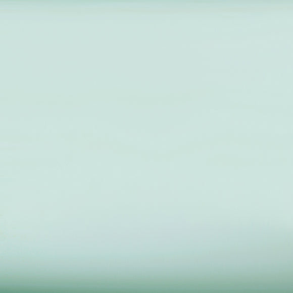 ROSEROSA Peel and Stick Super Matt Solid Contact Paper Self-Adhesive Wallpaper Door Wrap Countertop Moulding Trim SM940