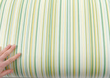 ROSEROSA Peel and Stick PVC Stripe Self-Adhesive Wallpaper Covering Countertop Rainbow Green LW351