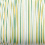 ROSEROSA Peel and Stick PVC Stripe Self-Adhesive Wallpaper Covering Countertop Rainbow Green LW351