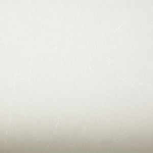 ROSEROSA Peel and Stick PVC Marble Self-Adhesive Wallpaper Covering Counter Top ST685F